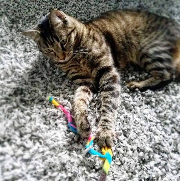 Welcome: Info & Recommendations - Picture 11 of 12